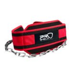 Dip Belt