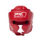 Boxing Headgear