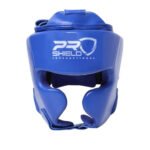 Boxing Headgear