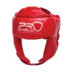 Boxing Headgear